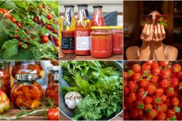 4 pomidorų ruošimo žiemai receptų idėjos